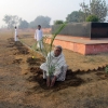 param mitra manav nirman sansthan gurukul tree plantation in haryana